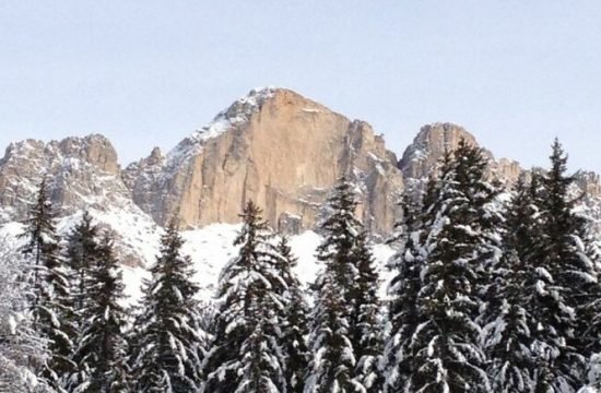 Schneeweiße Wochen