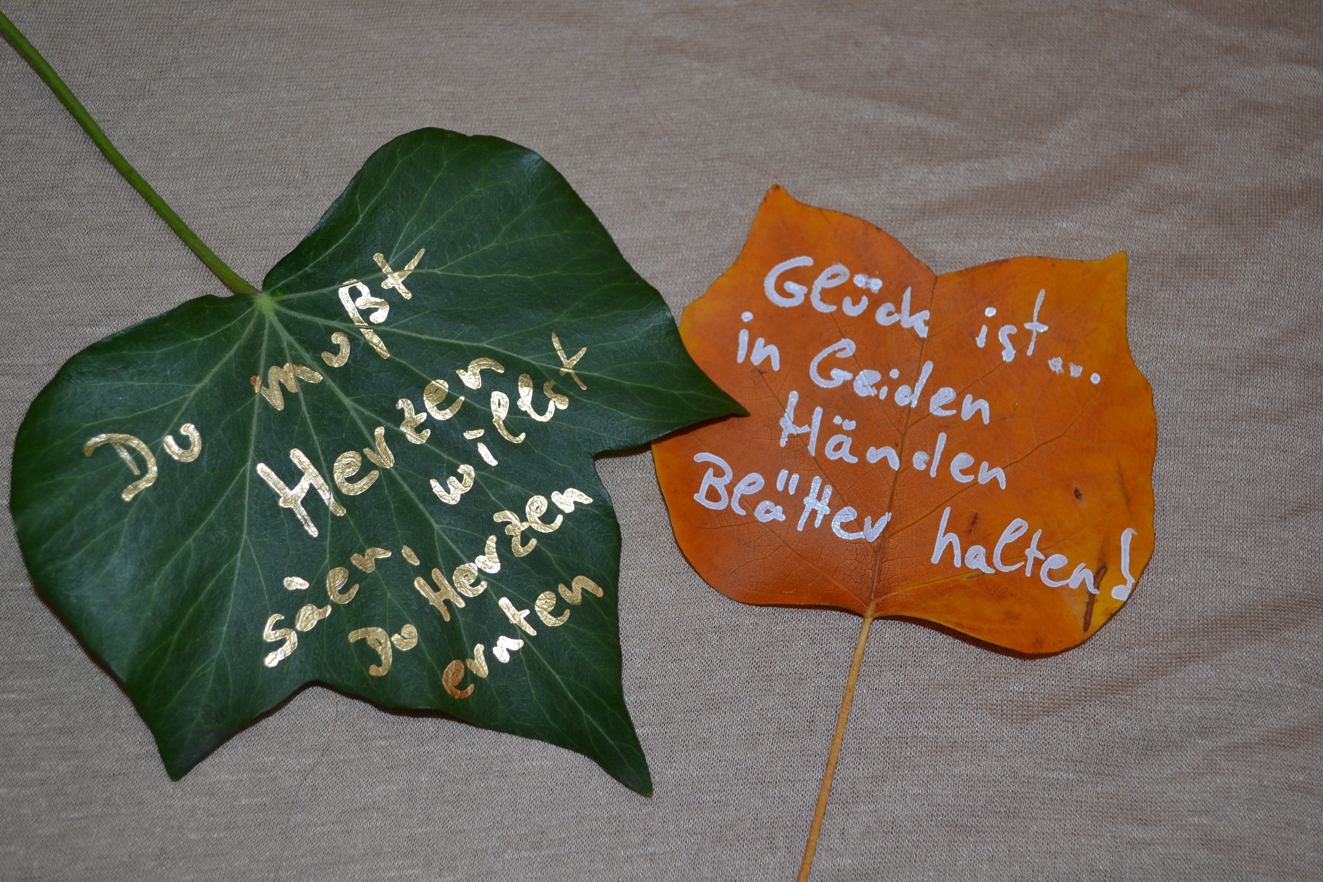 Oxymel mit Fichte Oxymel mit Fichte