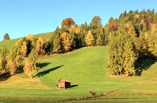 Wandern Welschnofen - Eggental / Dolomiten