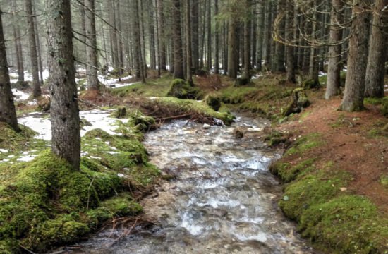 Wandern Welschnofen - Eggental / Dolomiten 2